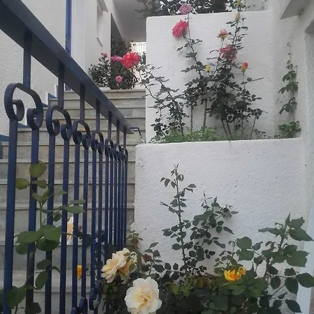 Rania Bella Vista
